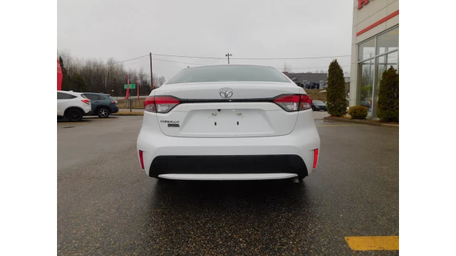 Toyota Corolla L 2020