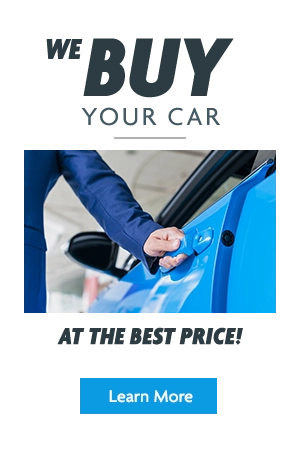 We Buy your Car