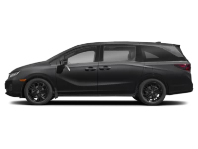 Profil, orienté vers la gauche