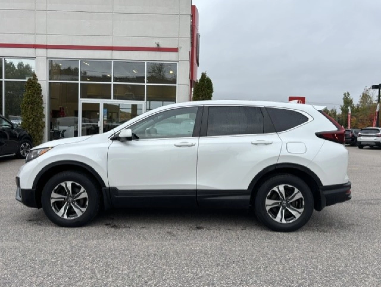 2021 Honda CR-V LX Image principale
