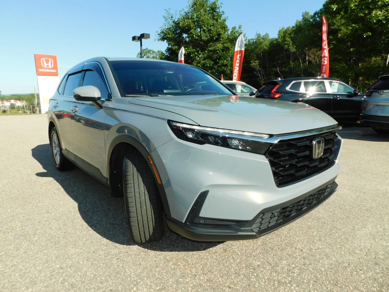 2023 Honda CR-V EX-L Main Image
