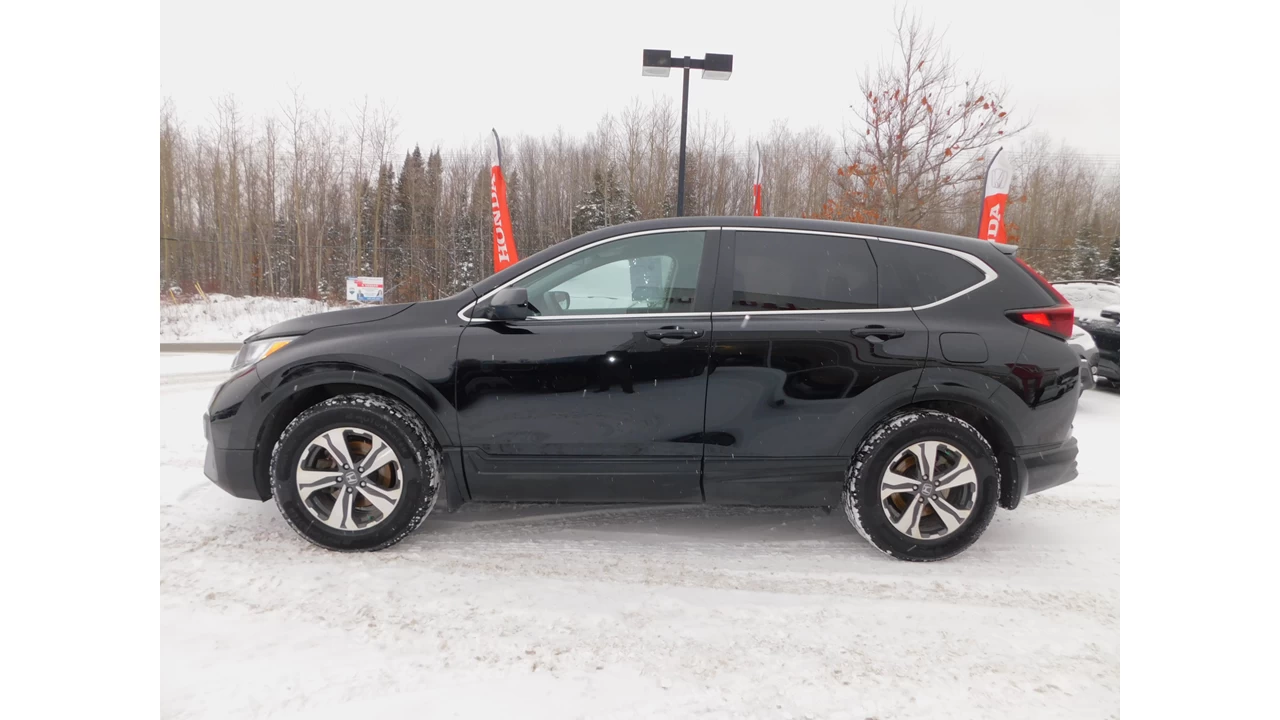 2022 Honda CR-V LX Image principale