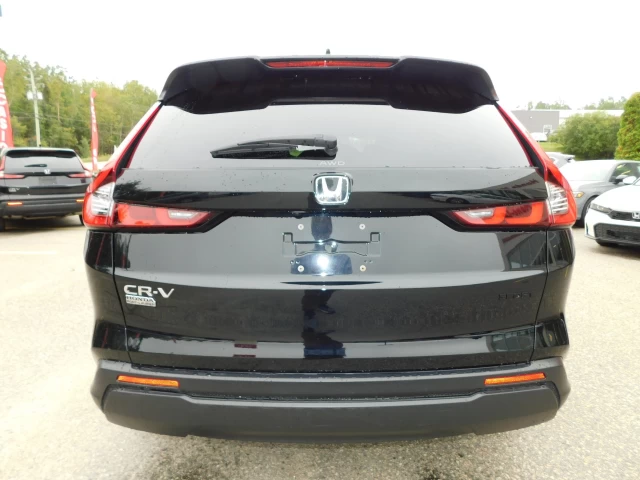 Honda CR-V Sport 2023