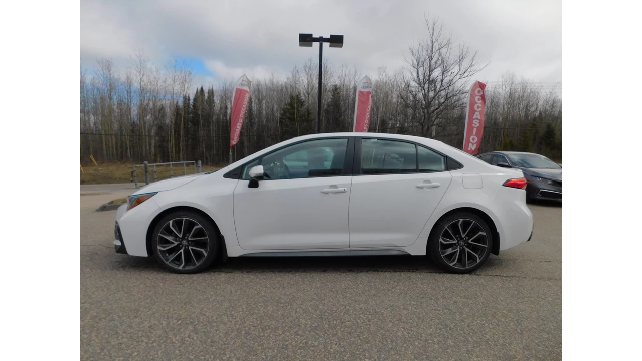 2020 Toyota Corolla SE/XSE Main Image
