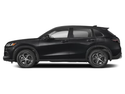 Profil, orienté vers la gauche