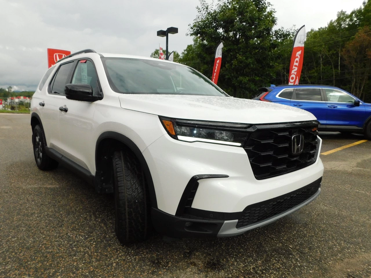 2025 Honda Pilot TrailSport Image principale