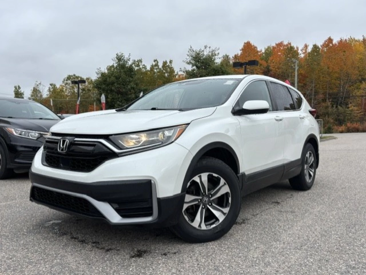 2021 Honda CR-V LX Image principale