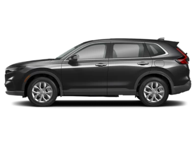 Profil, orienté vers la gauche