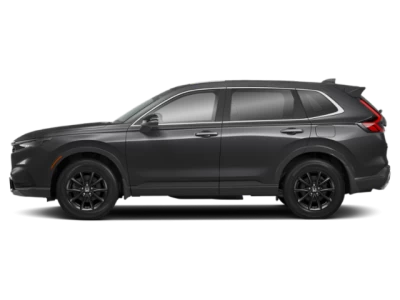 Profil, orienté vers la gauche